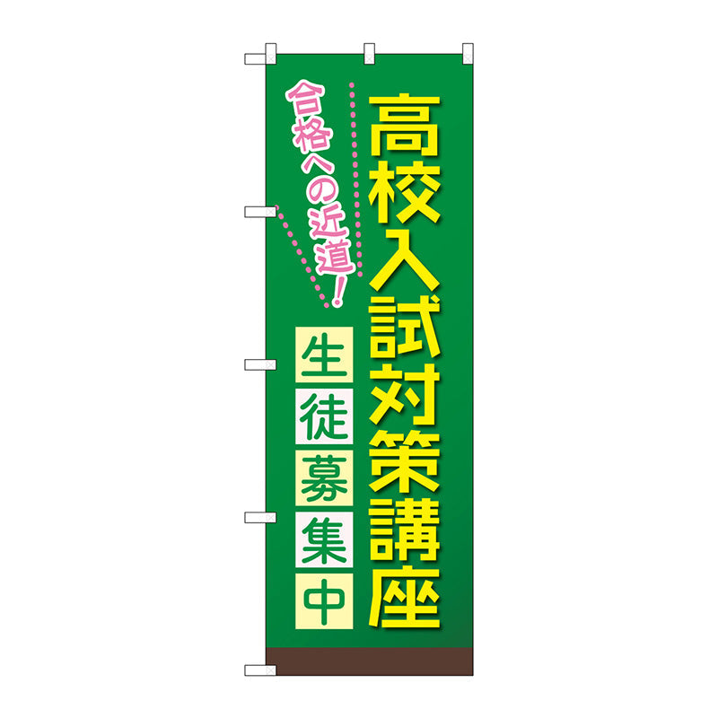 ビスナビ 高校入試対策 すべての教科 - 語学・辞書・学習参考書