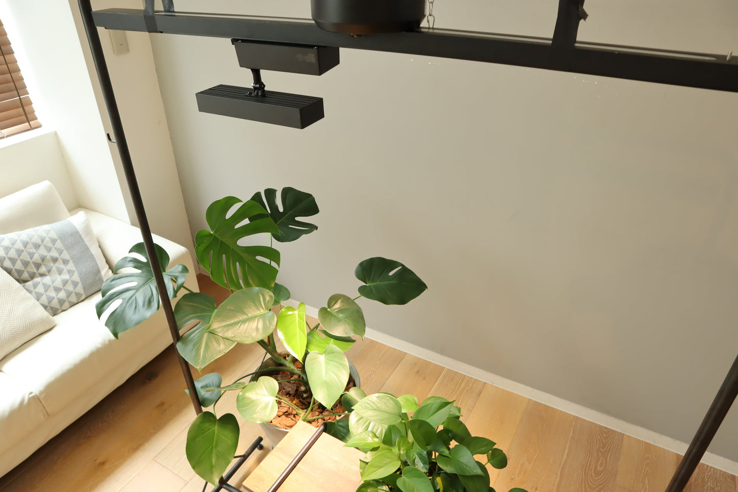 ＬＥＤ　ＳＰＯＴ　ＬＩＧＨＴ　ｆｏｒ　ＰＬＡＮＴＳ　２０Ｗ　ブラック　ＷＡＲＭ