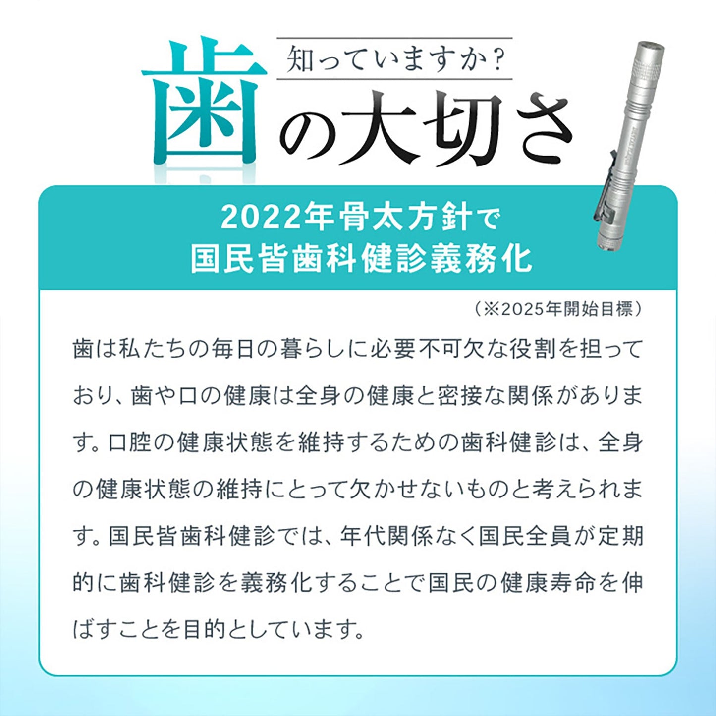 オムニ　デンタルプラークチェックライト　歯石歯垢チェッカー　虫歯予防