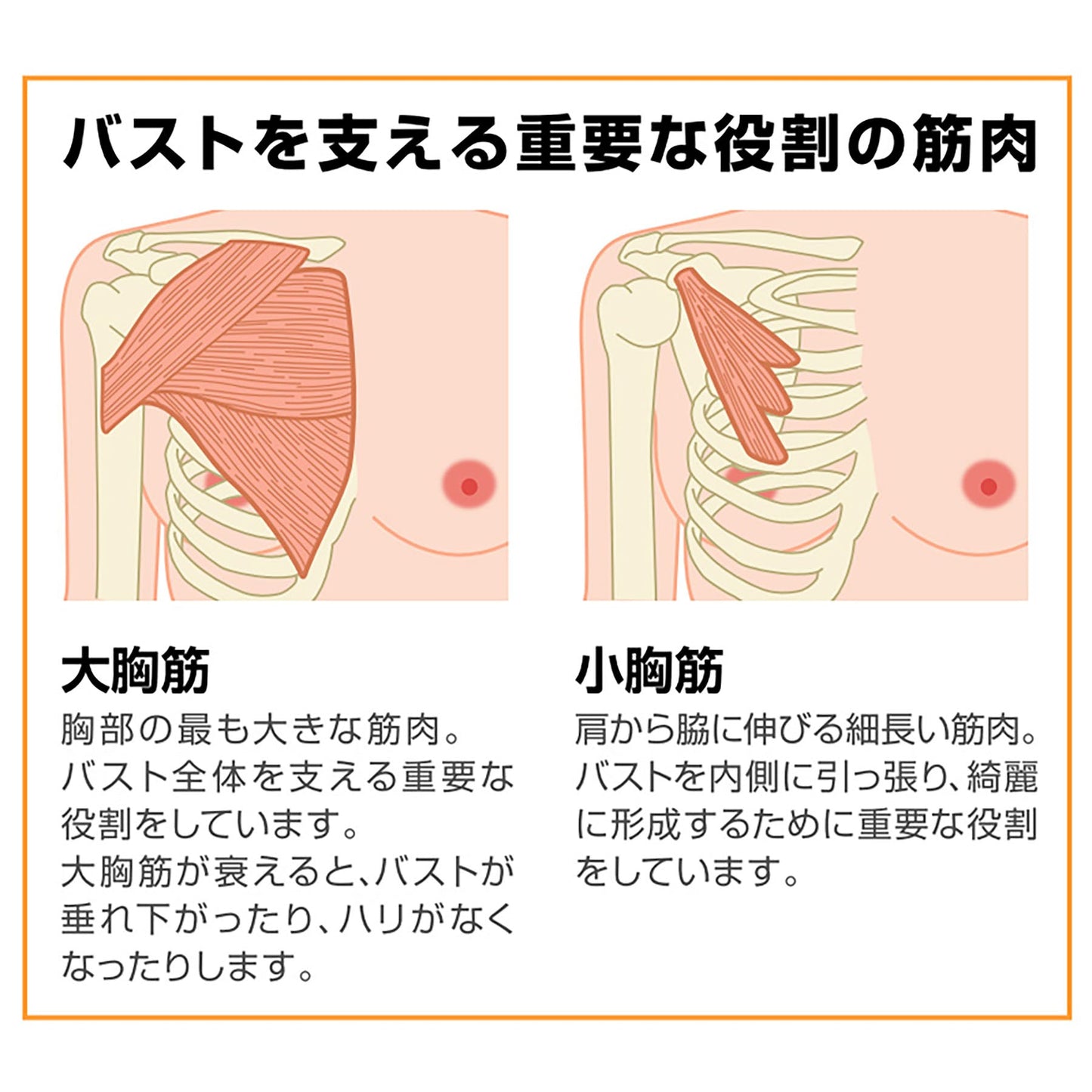 オムニ　バストケア美容器　ヴァージンバストグラント　育乳　美乳　産後　２個組