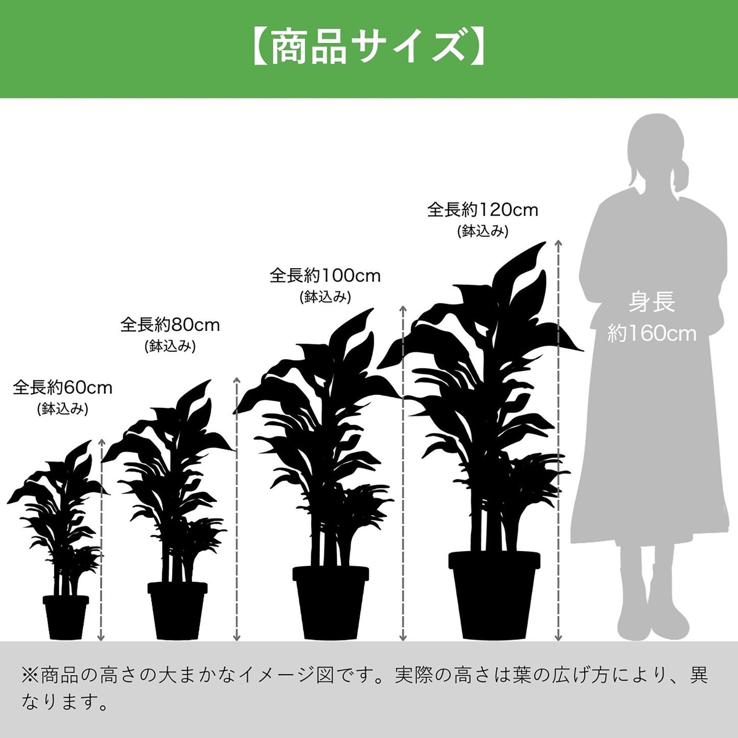 光触媒インテリアグリーン　ドラセナ（太）　観葉植物　高さ１１０ｃｍ