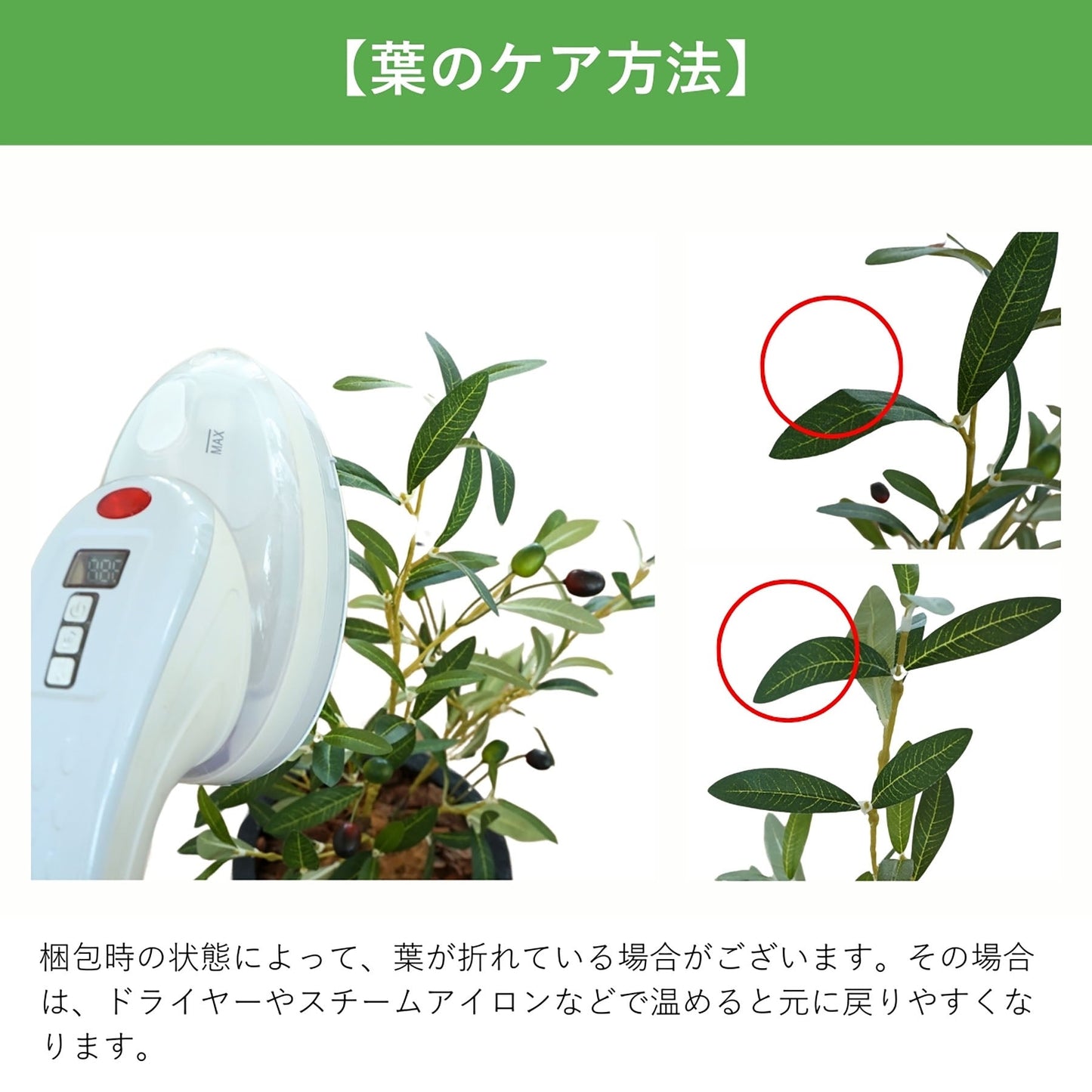 光触媒インテリアグリーン　ガジュマル　観葉植物　高さ１００ｃｍ