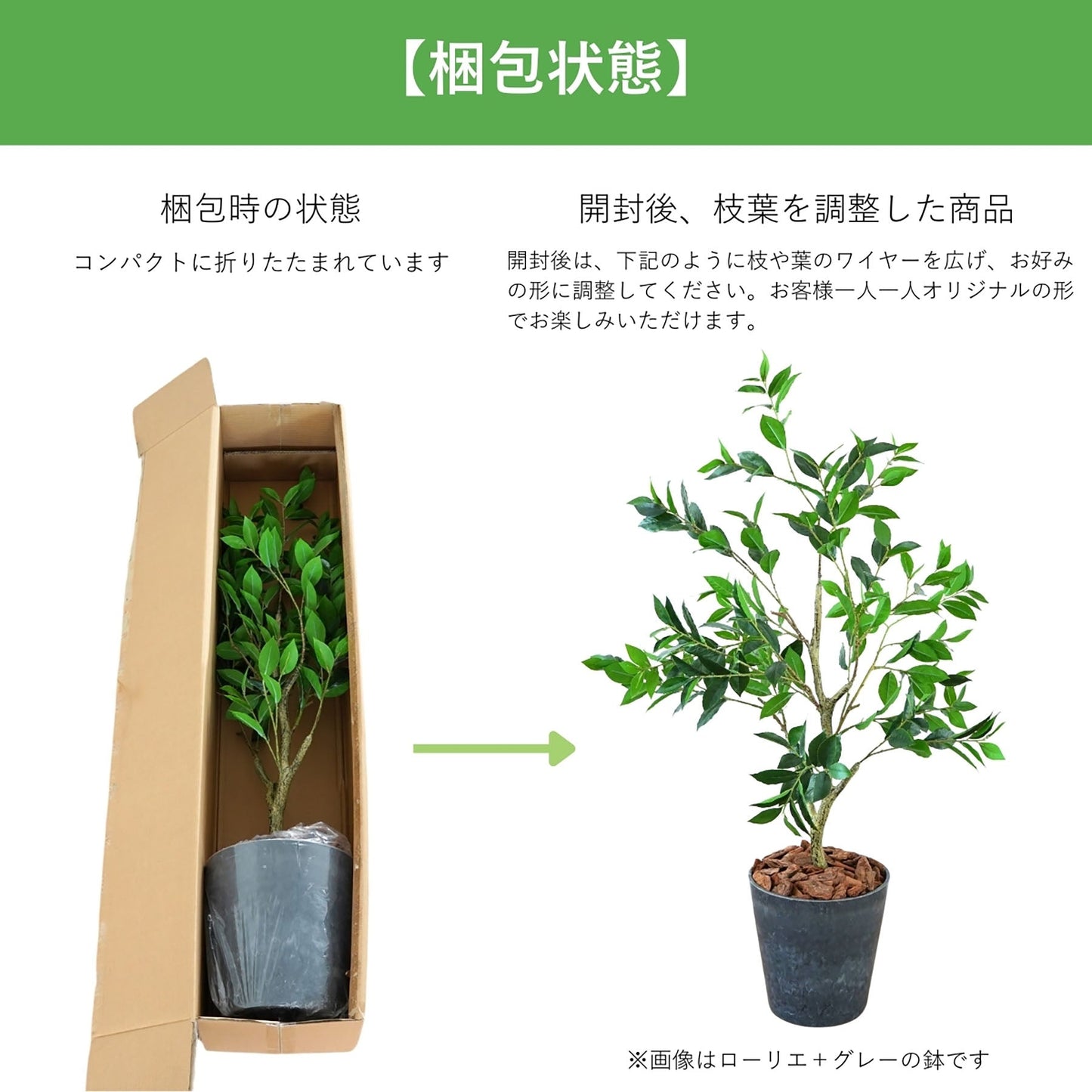 光触媒インテリアグリーン　オーガスタ　観葉植物　高さ８０ｃｍ