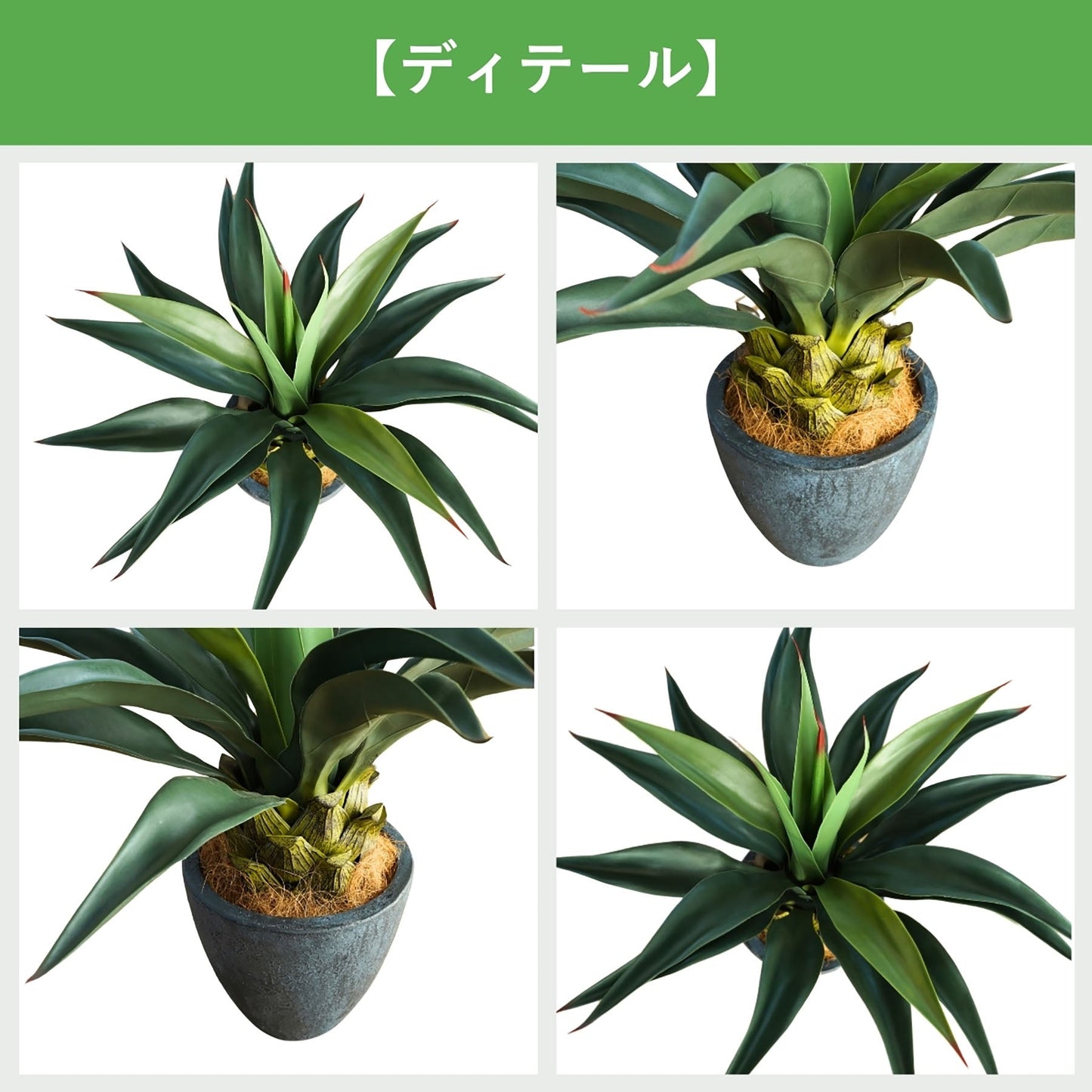 光触媒インテリアグリーン　アガベ　観葉植物　高さ６５ｃｍ