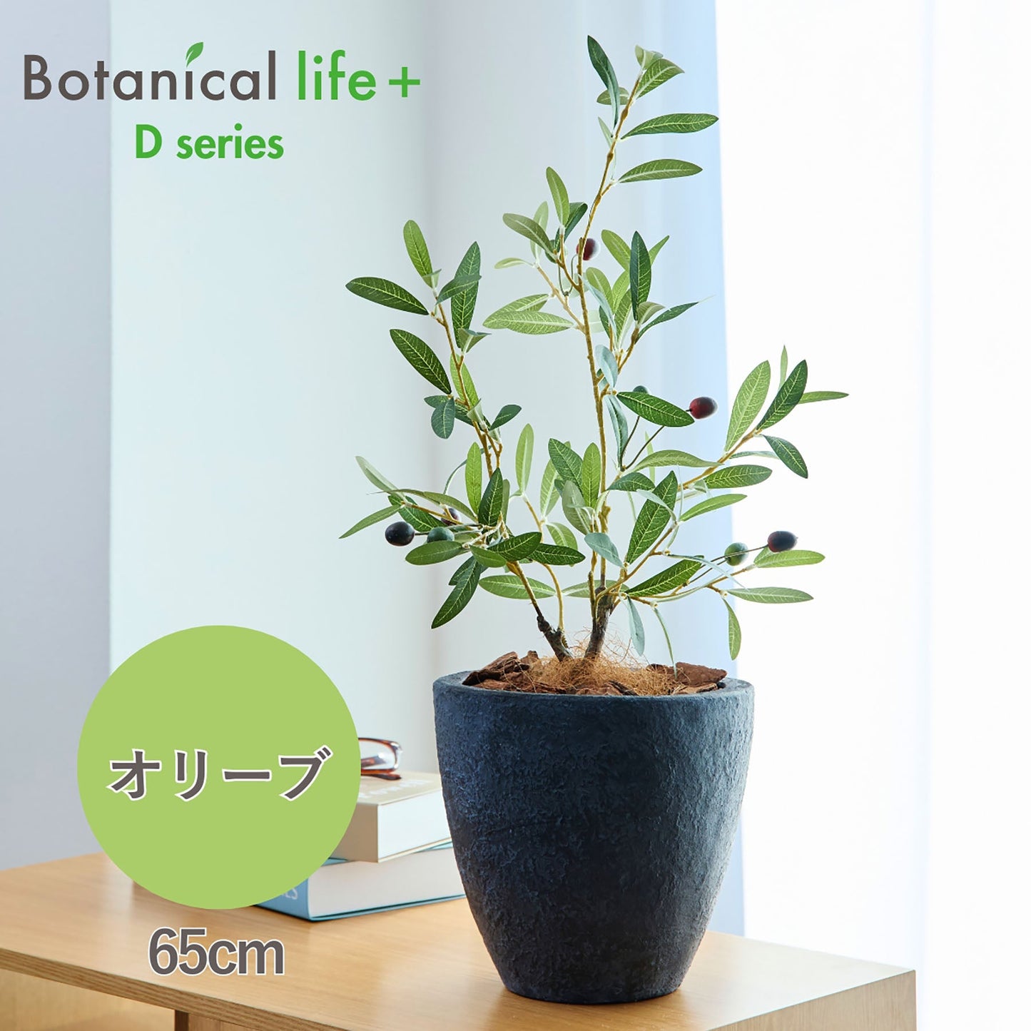 光触媒インテリアグリーン　オリーブ　観葉植物　高さ６５ｃｍ