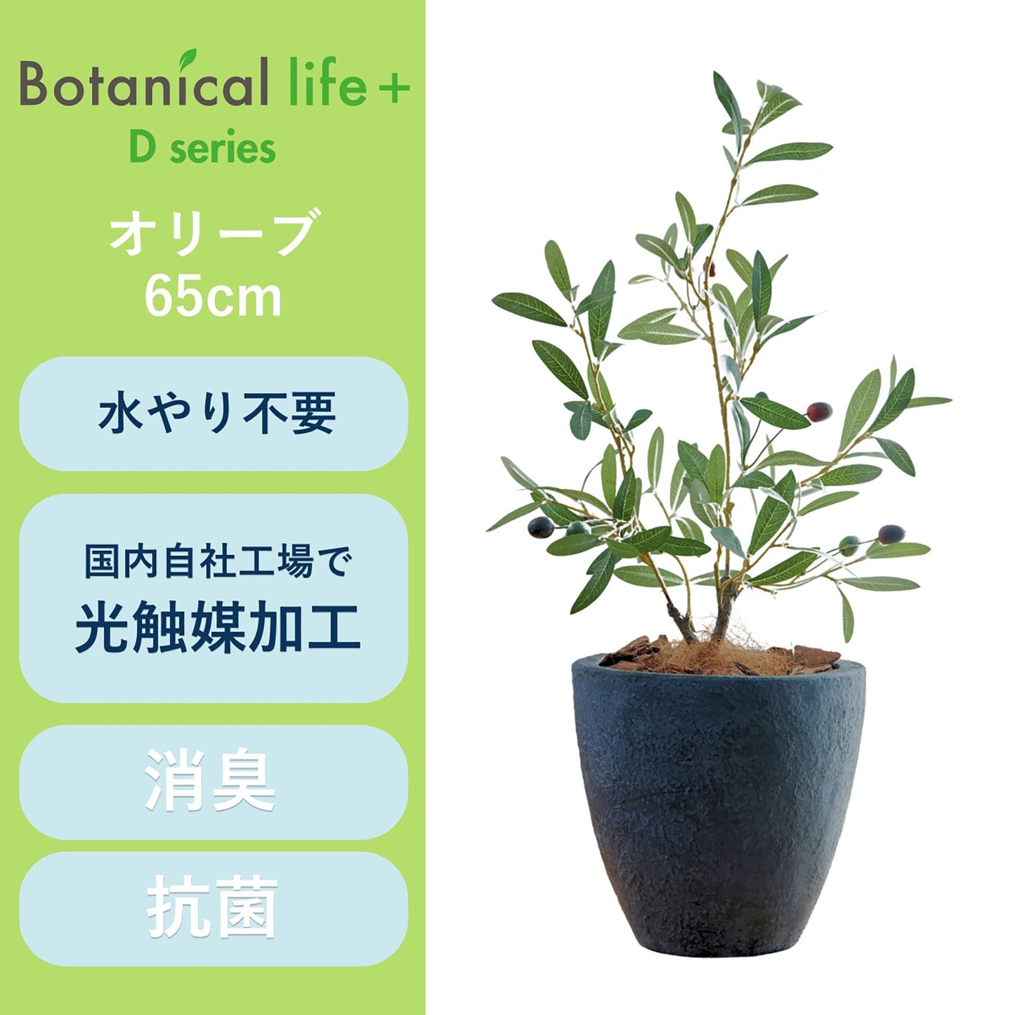 光触媒インテリアグリーン　オリーブ　観葉植物　高さ６５ｃｍ