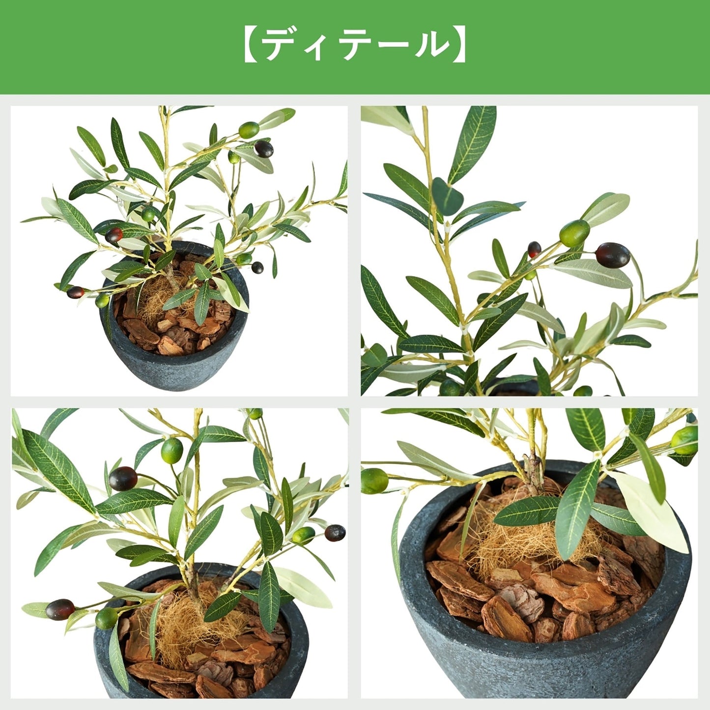 光触媒インテリアグリーン　オリーブ　観葉植物　高さ６５ｃｍ