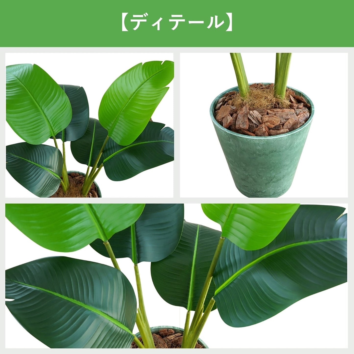 光触媒インテリアグリーン　オーガスタ　観葉植物　高さ８０ｃｍ