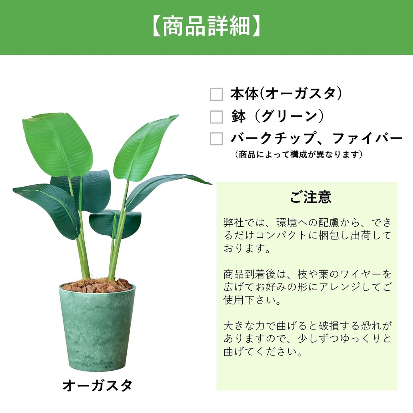 光触媒インテリアグリーン　オーガスタ　観葉植物　高さ８０ｃｍ