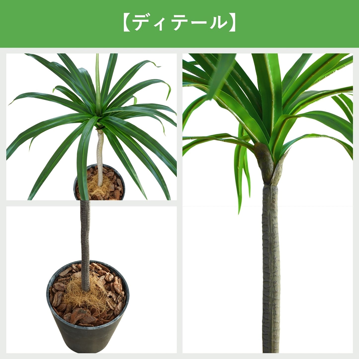 光触媒インテリアグリーン　ドラセナ（太）　観葉植物　高さ１１０ｃｍ