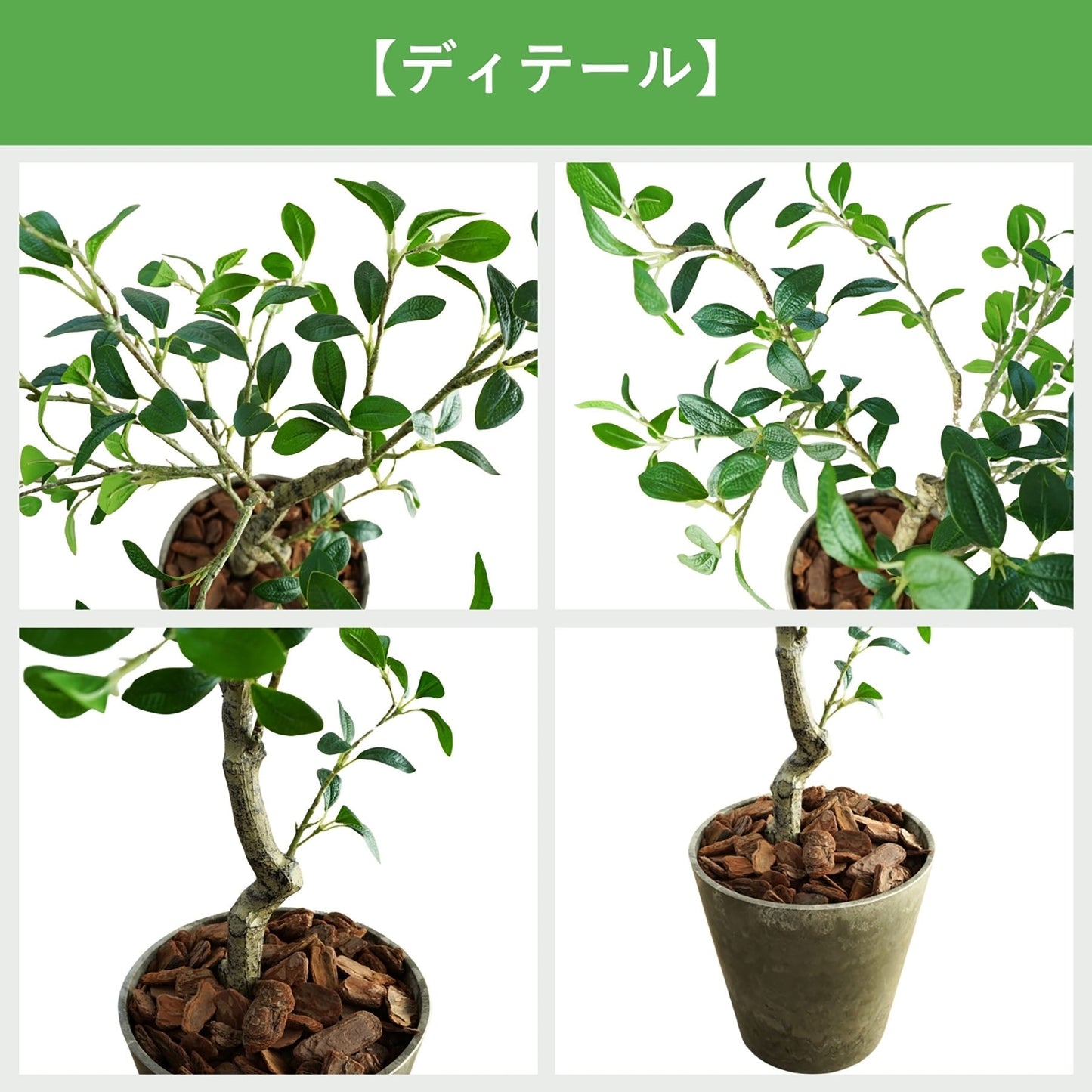 光触媒インテリアグリーン　ガジュマル　観葉植物　高さ１００ｃｍ