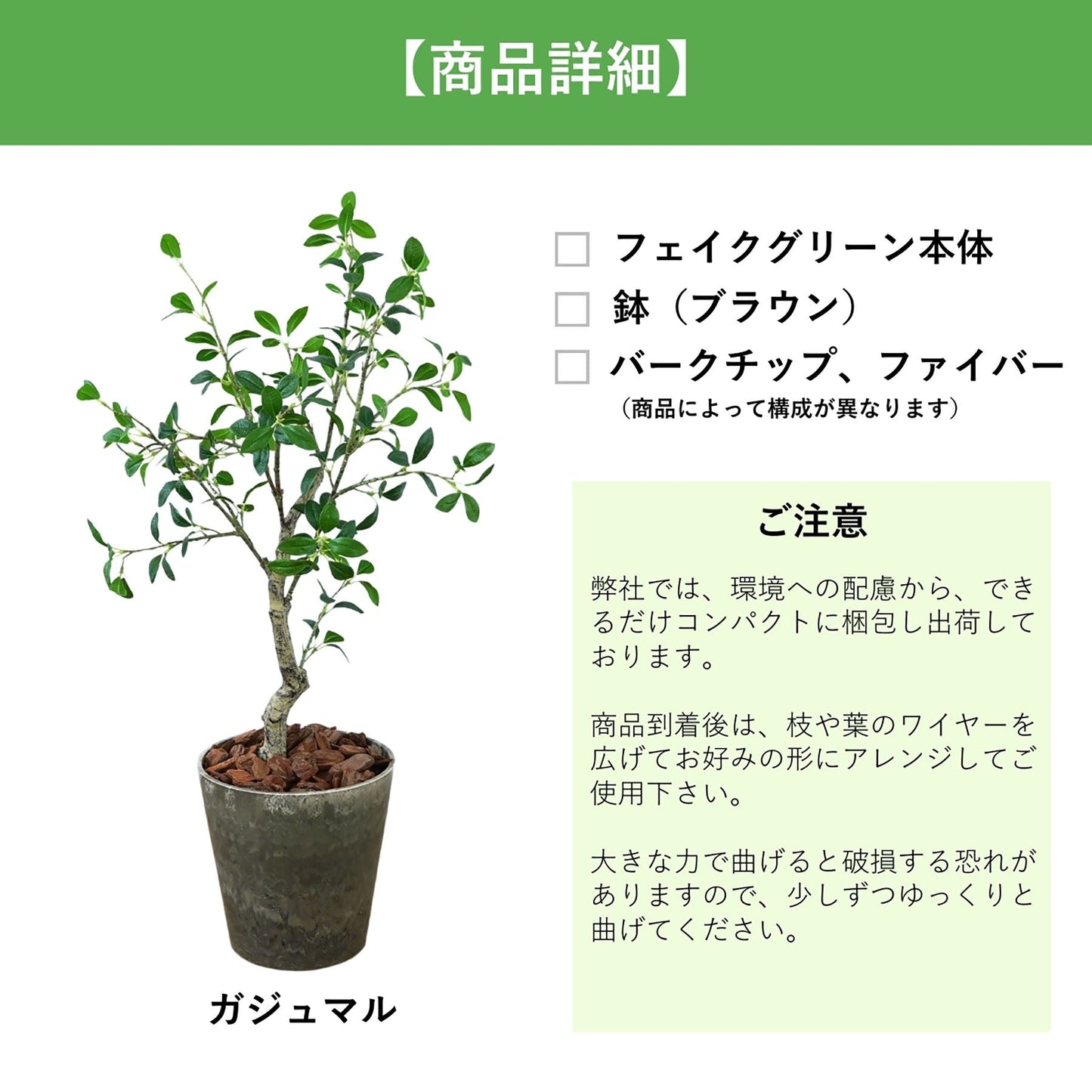 光触媒インテリアグリーン　ガジュマル　観葉植物　高さ１００ｃｍ