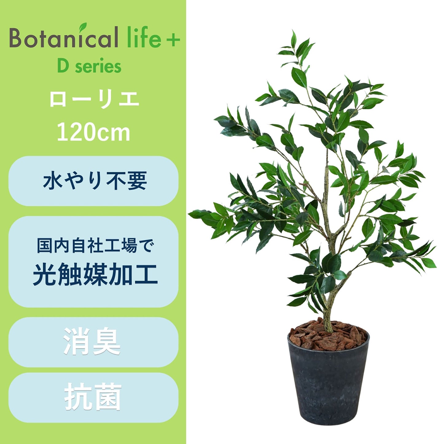 光触媒インテリアグリーン　ローリエ　観葉植物　高さ１２０ｃｍ