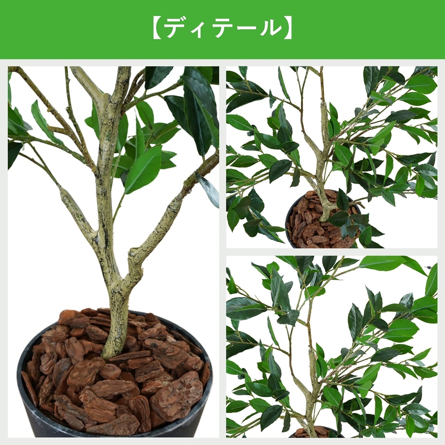 光触媒インテリアグリーン　ローリエ　観葉植物　高さ１２０ｃｍ